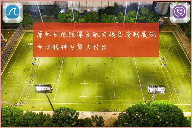 原帅训练照曝光肌肉线条清晰展现专注精神与努力付出